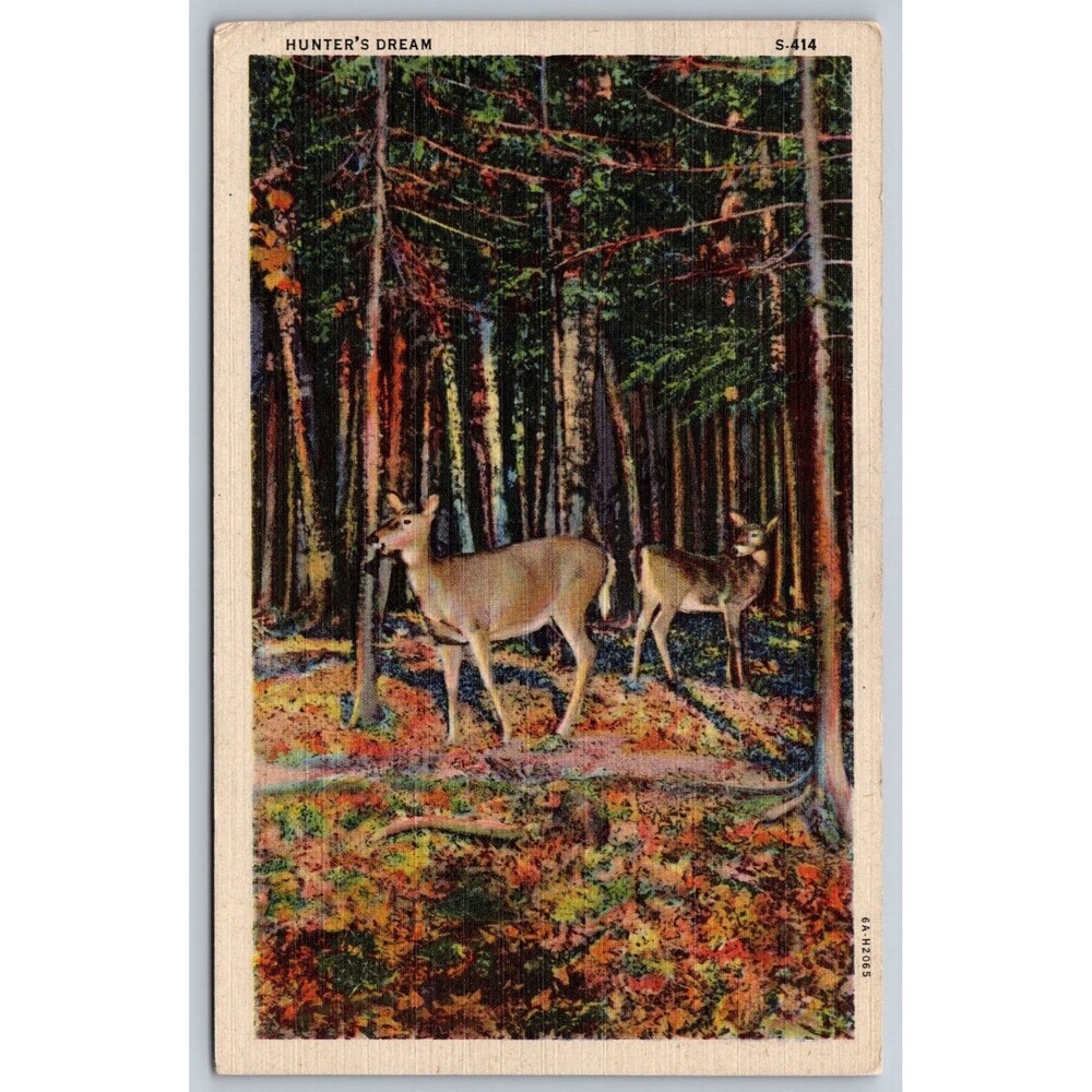 1947 Petoskey MI Linen Postcard Hunter's Dream Waiting for Ferry Message